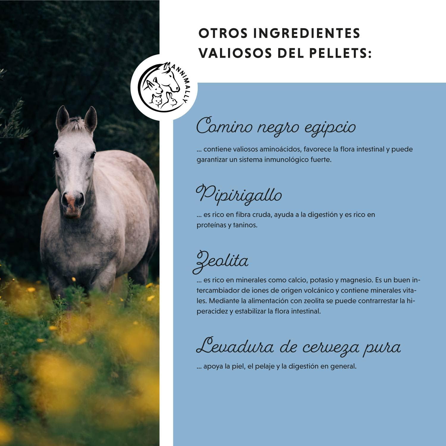 Annimally Zinc para Caballos - Pellets de Zinc (700 g) Altamente dosificados con comino Negro, zeolita, esparceta y levadura de Cerveza para la Piel, el Pelo y los Cascos