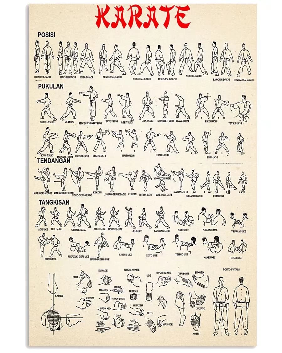 rayprint Karate Infographic Metal Sign Vintage Martial Arts Gym Knowledge Posters Decor Home Club Bedroom Garage Wall Decoration Printing Plaque 12x16 Inches