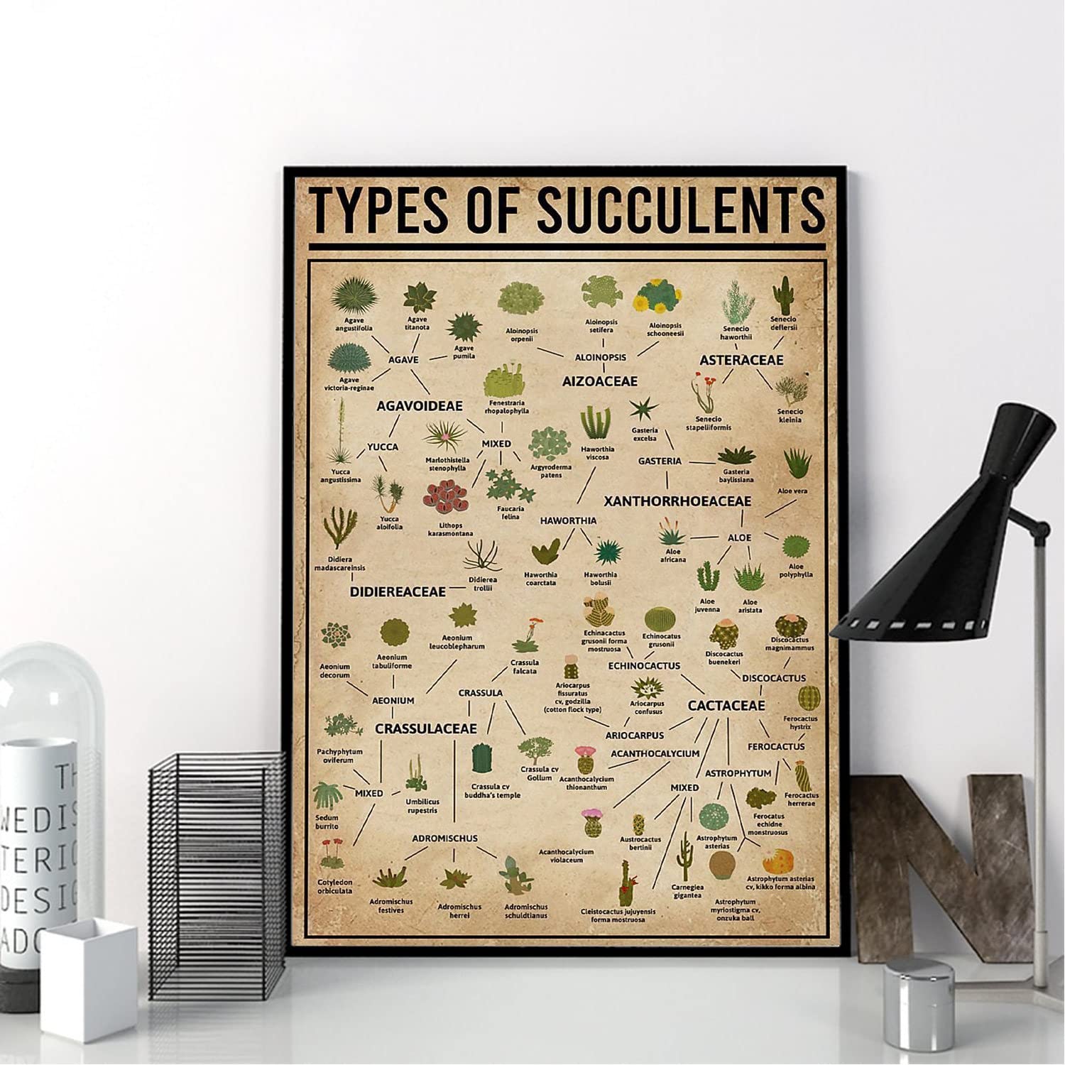Types Of Succulents, Gift For Succulent Lover, Succulent Decor, Botanical Poster Metal Tin Sign Retro Sign For Bar Cafe Home Garage Metal Tin Sign 8x12 Inch