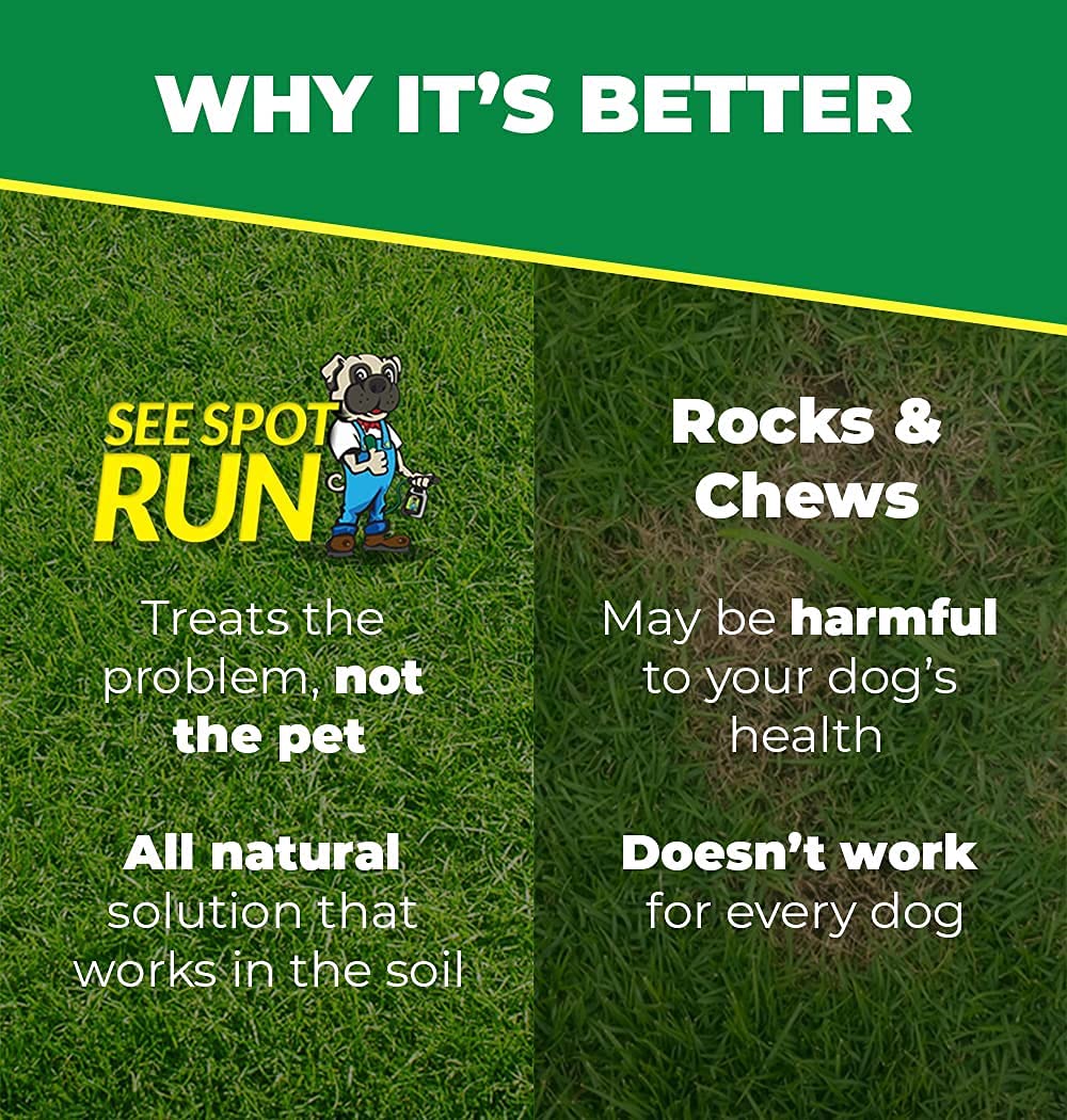 See Spot Run Lawn Protection Dog Urine Neutralizer for Lawns That Cures and Prevents Burn