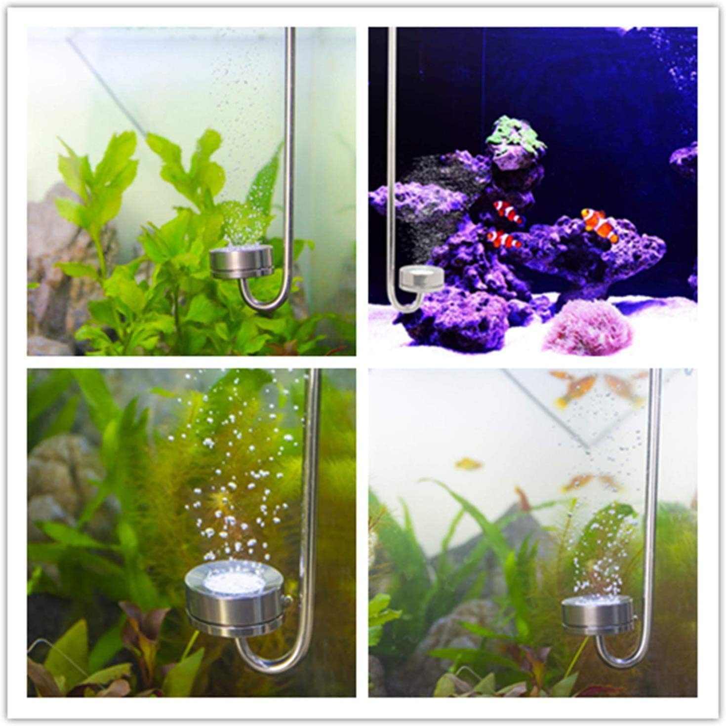 Ejoyous Ensemble d'explorateur CO2 Diffuseur en Acier Inoxydable, dioxyde de Carbone diffuseur CO2 Vessie vessie avec Tube de Connexion en Forme de Une loupe et Une Boussole 300mm