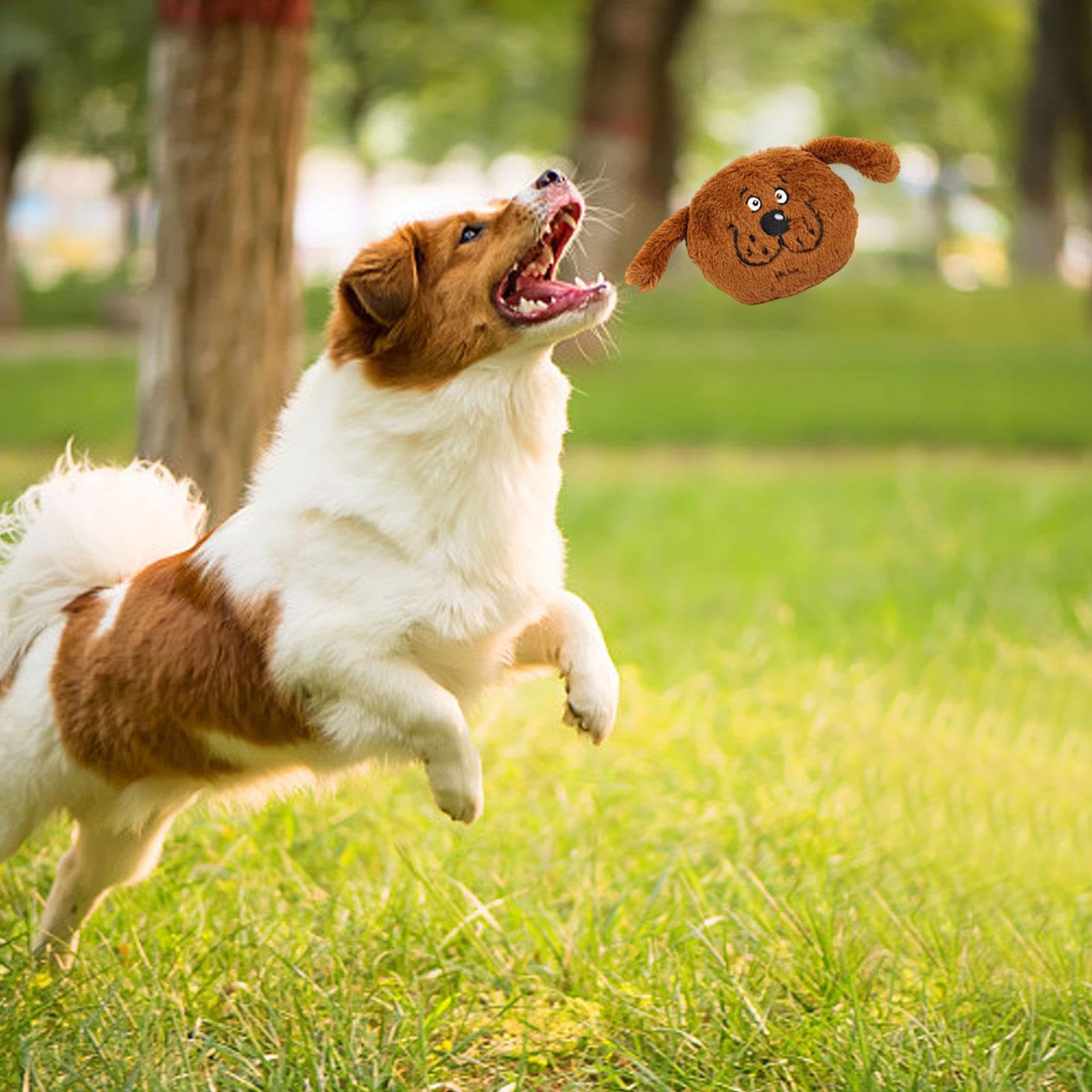 Hondenspeelgoed Squeaky Ball | Rubber 2-in-1 kauwspeelgoed voor honden in de vorm van - Sound Dog Ball, speelgoed voor het tandjes van de hond voor puppy's van kleine honden