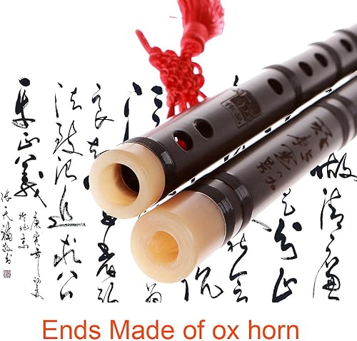 Miniatura 3 de Dizi de flauta profesional instrumento chino NICOSHINE - Llave D de palisandro envejecido