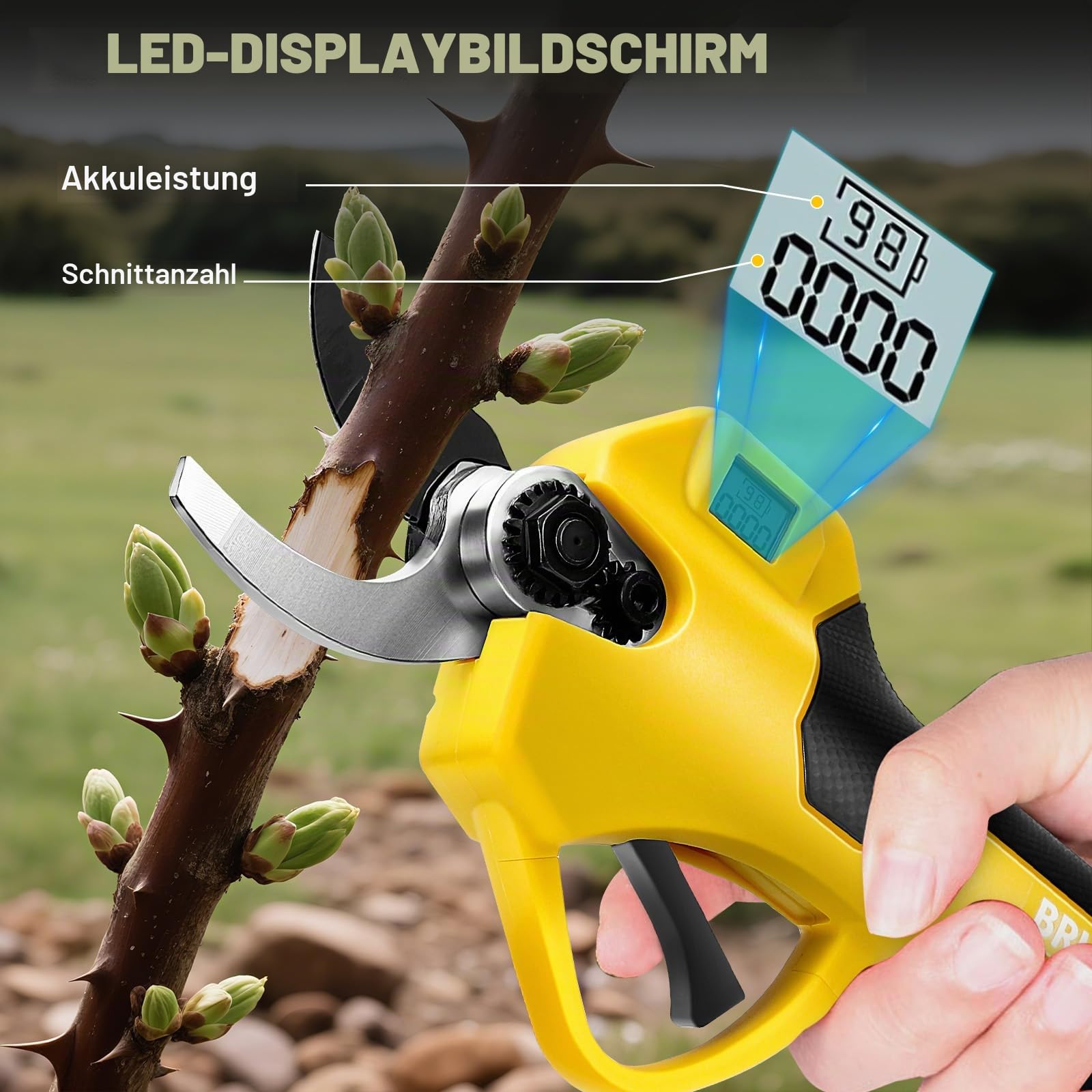 panthem 2 in 1 Akku Astschere Teleskop Kompatibel mit Dewalt 20V, ohne Akku