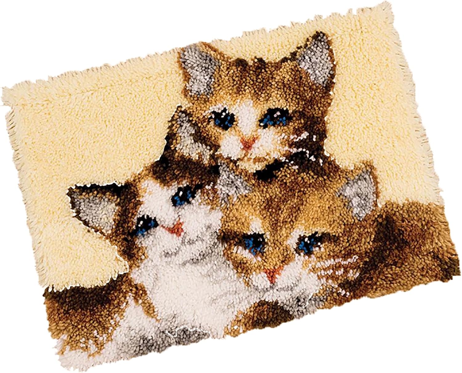 Latch Hook Kits for Adults 20.5 X 15 Inch DIY Needlework Unfinished Crocheting Rug Kit with Color Preprinted Pattern,Zd289
