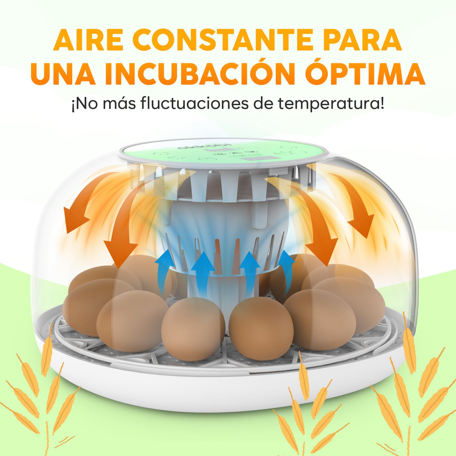 Okkobi M12 - Incubadora Huevos Gallina Automática - Volteo Automático y Control de Humedad - Chocadeira Ovos Automática - 12/24 huevos, Vista 360°, fácil de usar y limpiar - Blanco y verde