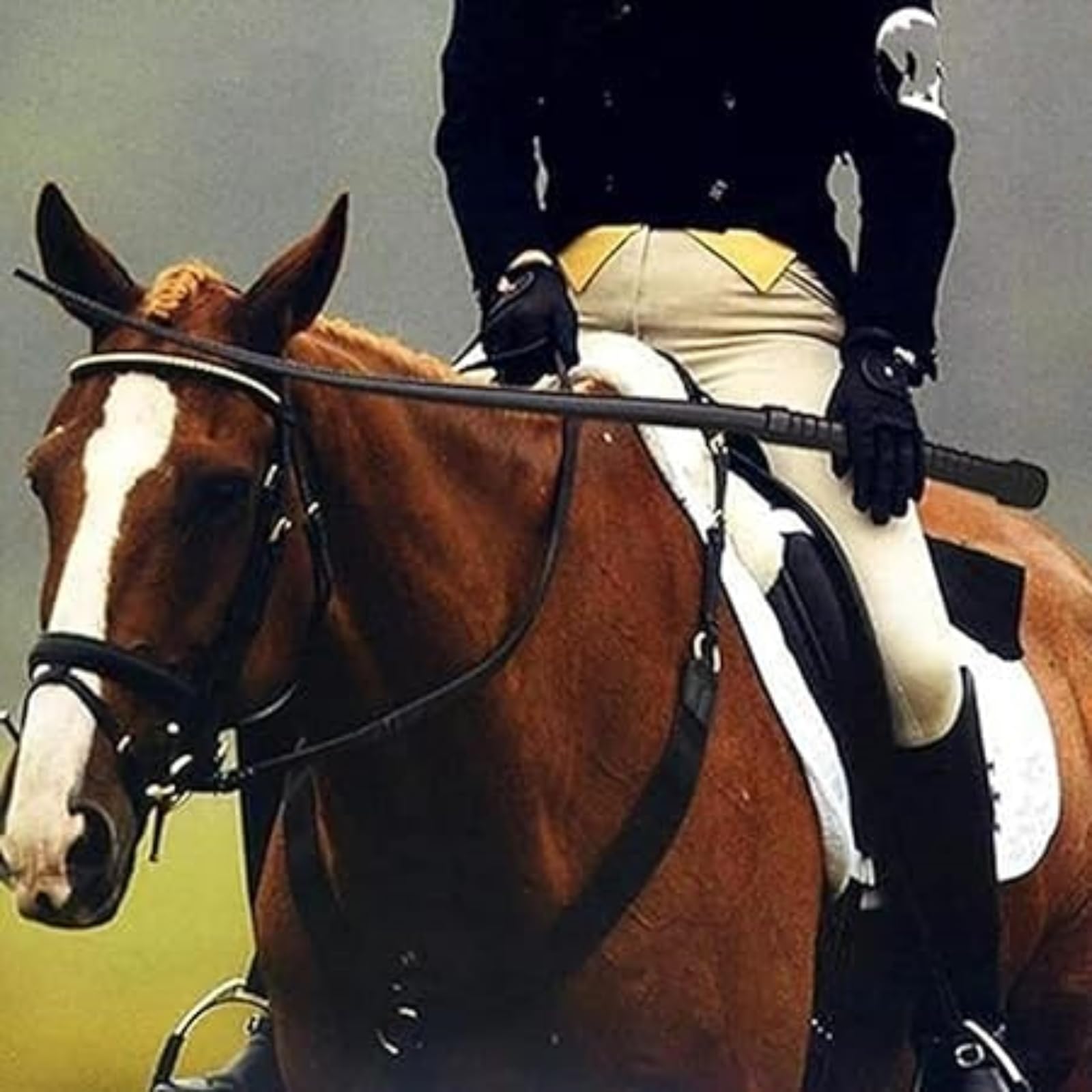 競馬 鞭 Amazon.co.jp: 乗馬鞭、滑り止めグリップ付き乗馬鞭、PUレザー