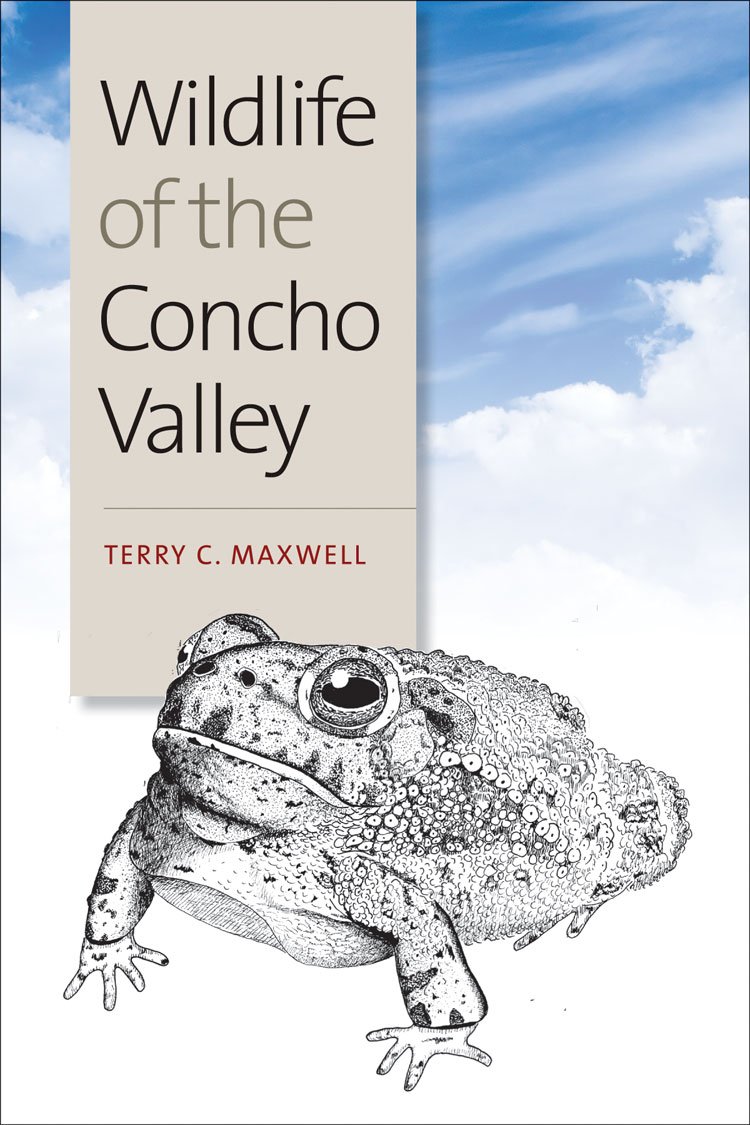 Buy Wildlife of the Concho Valley: 48 (W. L. Moody Jr. Natural History) — BookShops.in