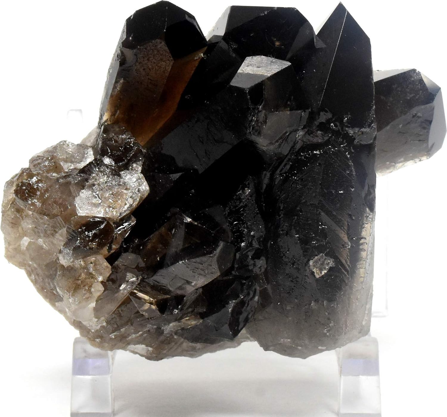 Amazon.com: 3.1" 150g Black Morion Smoky Quartz Points Cluster Natural ...
