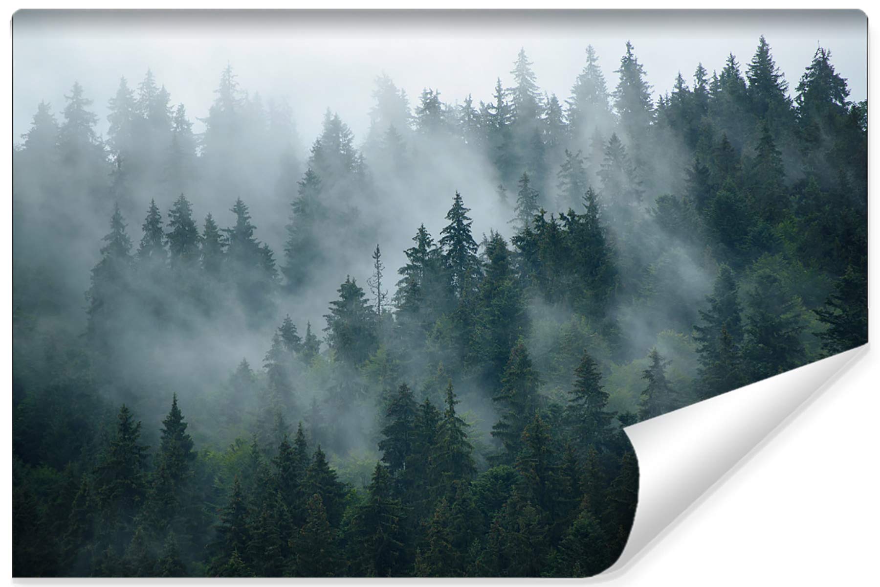 Muralo Samoprzylepna fototapeta z efektem 3D, fototapeta na ścianę, iluzja optyczna, naturalny las, salon, sypialnia, nowoczesne obrazy ścienne, dekoracja ścienna XXL, wymiary 360 cm x wysokość 240 cm