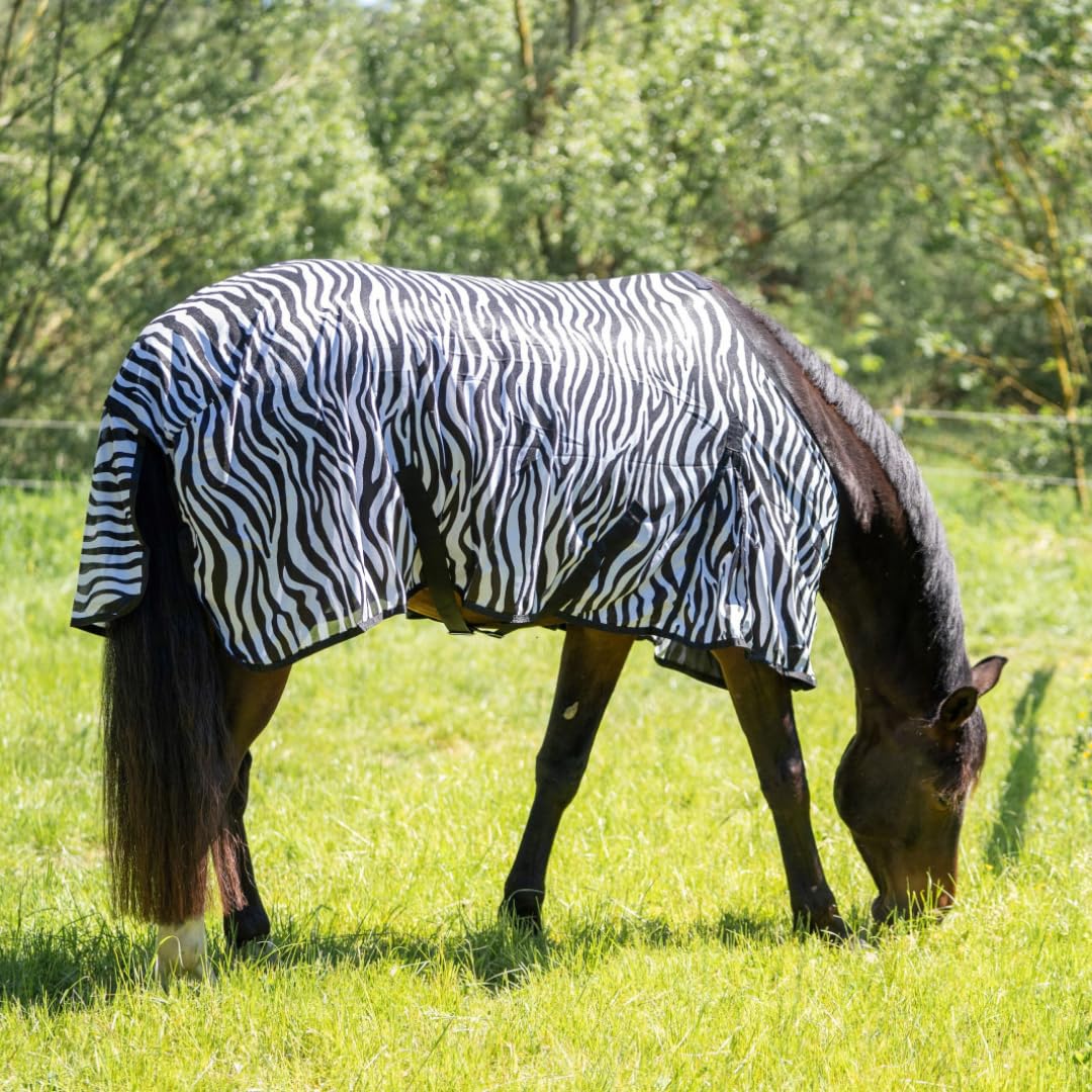 Zebra Fliegendecke mit Kreuzgurt – reißfeste & feinmaschige Pferdedecke – Weidedecke – 145 cm