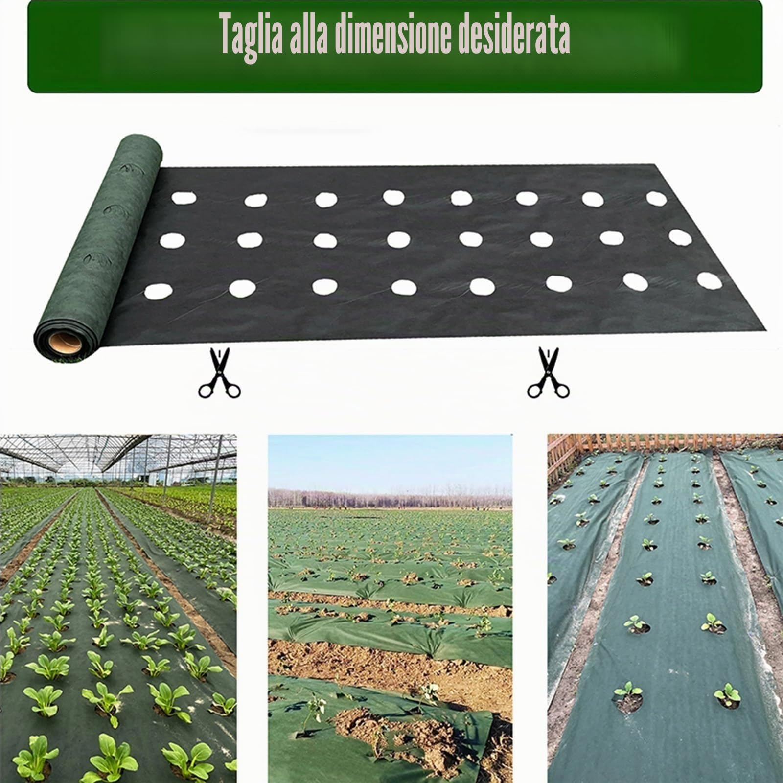 Telo Pacciamatura Panno Perforato Resistente all'erba, Inclusi 10 Chiodi a Terra, Adatto for la Pellicola di Copertura del Paesaggio Giardino(0.6X9.2M)