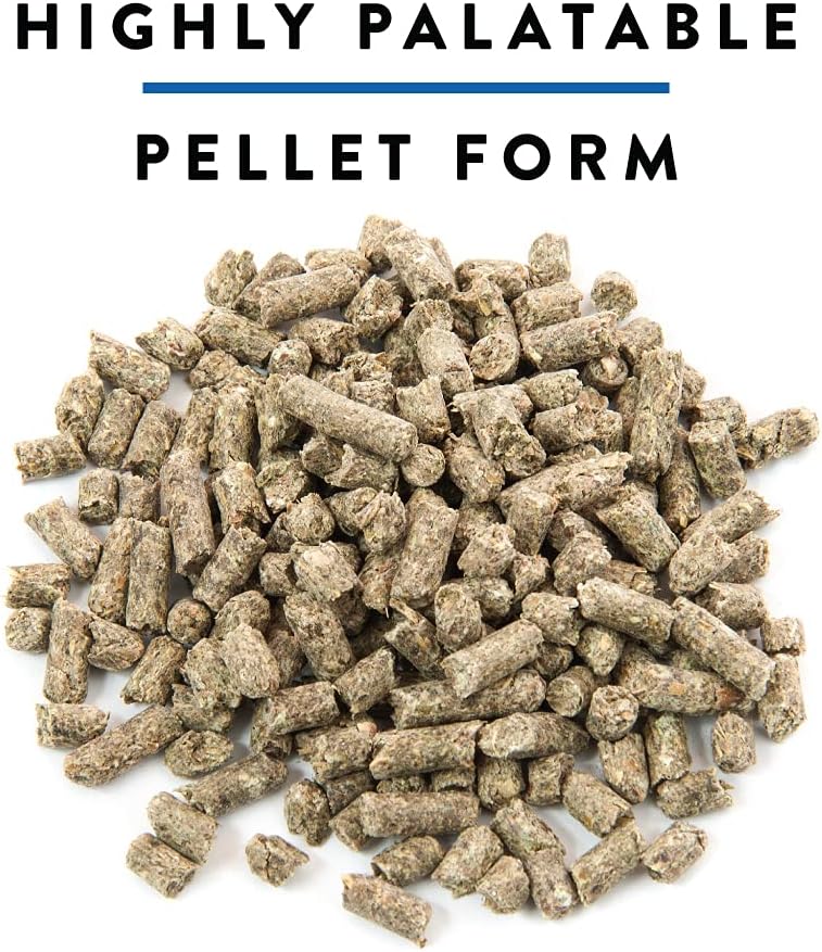 30 Best Horse Feeds For Weight Gain To Buy On Amazon