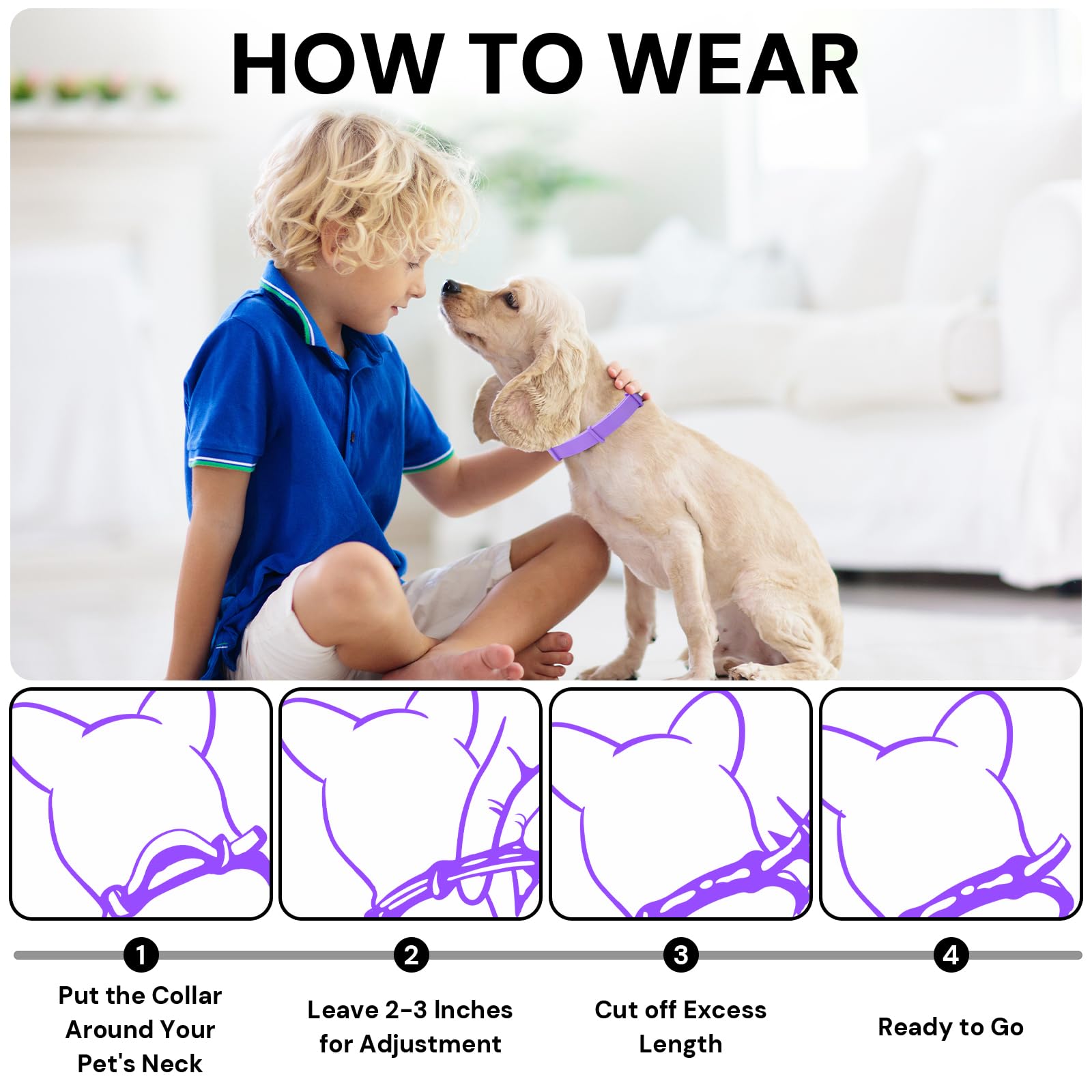 Calming Collar for Dogs 4 Packs - Image 3