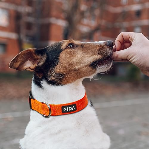 Miniatura 6 de Fida Collar reflectante para perro, collares de nailon con colores neón para perros pequeñosmedianosmedianos, collares de perro de alta visibilidad