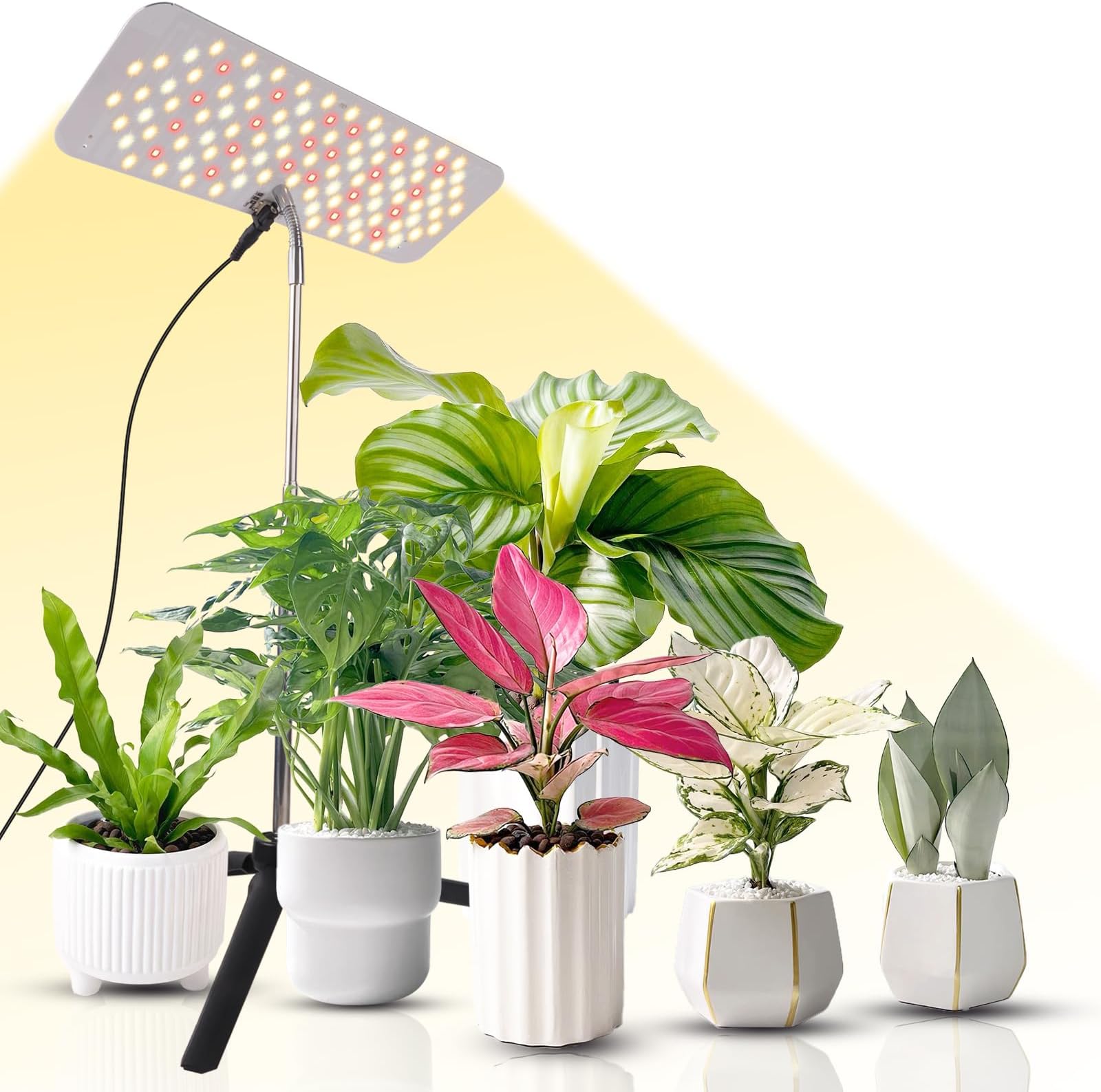 Jiffy 140298 Hydro Grow Light Amazon.ca Terrasse et Jardin