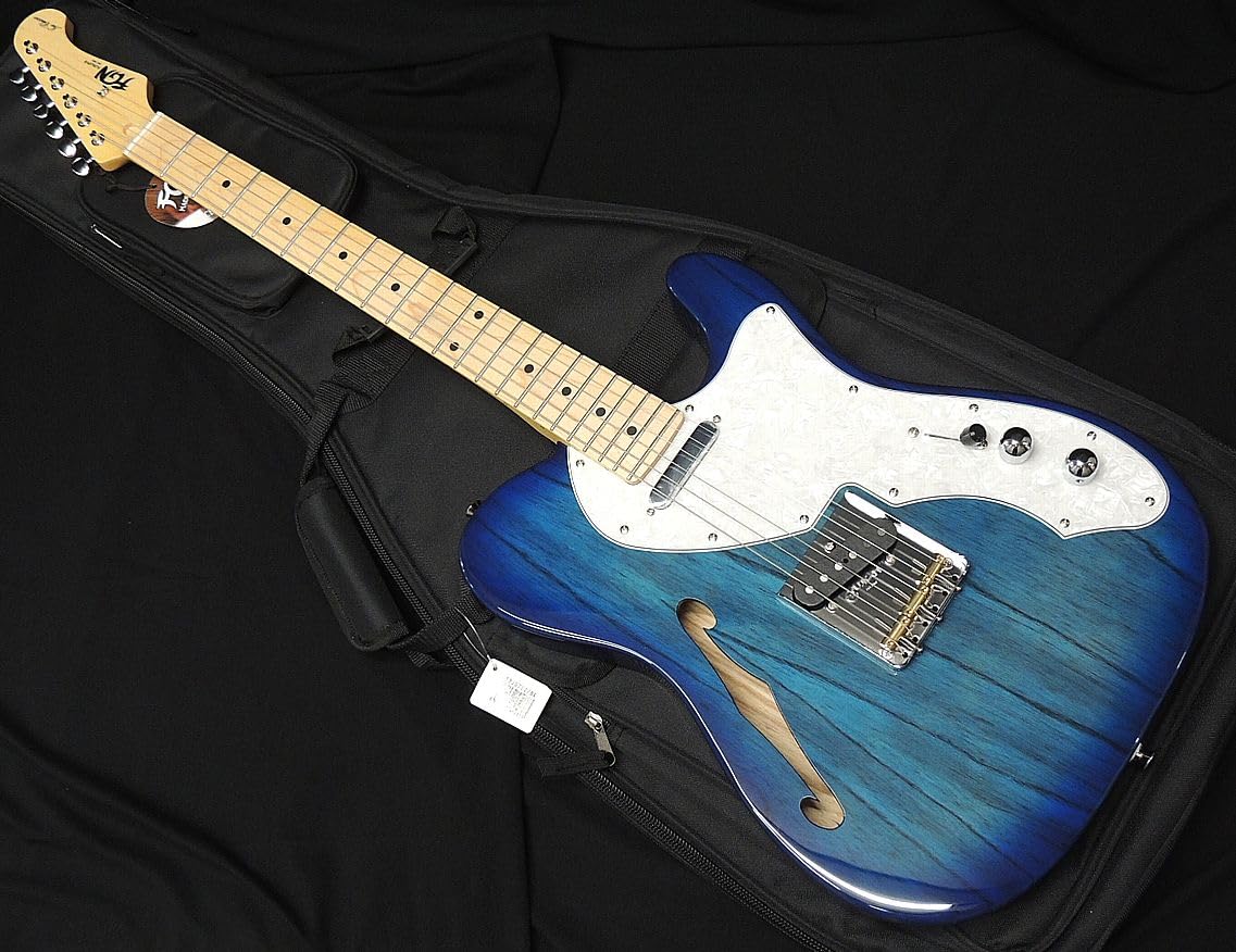 Amazon | FGN FUJIGEN NTE100MAHT SBB フジゲン Neo Classic SERIES 