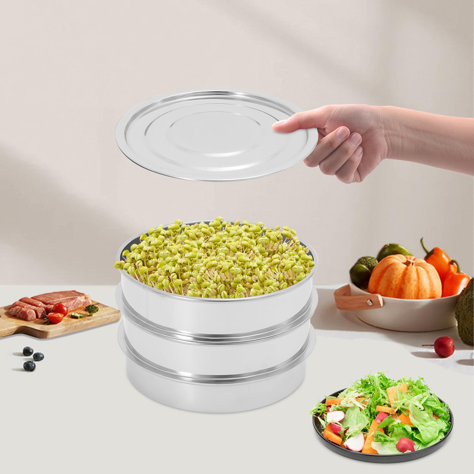 Kit de culture de germes en acier inoxydable double couche avec couvercle, pour graines de cresson, graines de cresson, bac de culture avec réservoir d'eau pour les semis dans la cuisine