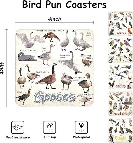 Miniatura 3 de Divertidos posavasos para pájaros, juego de 6 divertidos posavasos de pájaros, posavasos acrílicos impermeables para pájaros para amantes de las