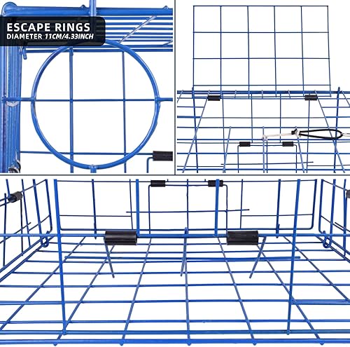 Miniatura 3 de Alambre de acero revestido de vinilo plegable de la trampa del cangrejo 24''x24''x12" 2PCSkit de la trampa del cangrejo