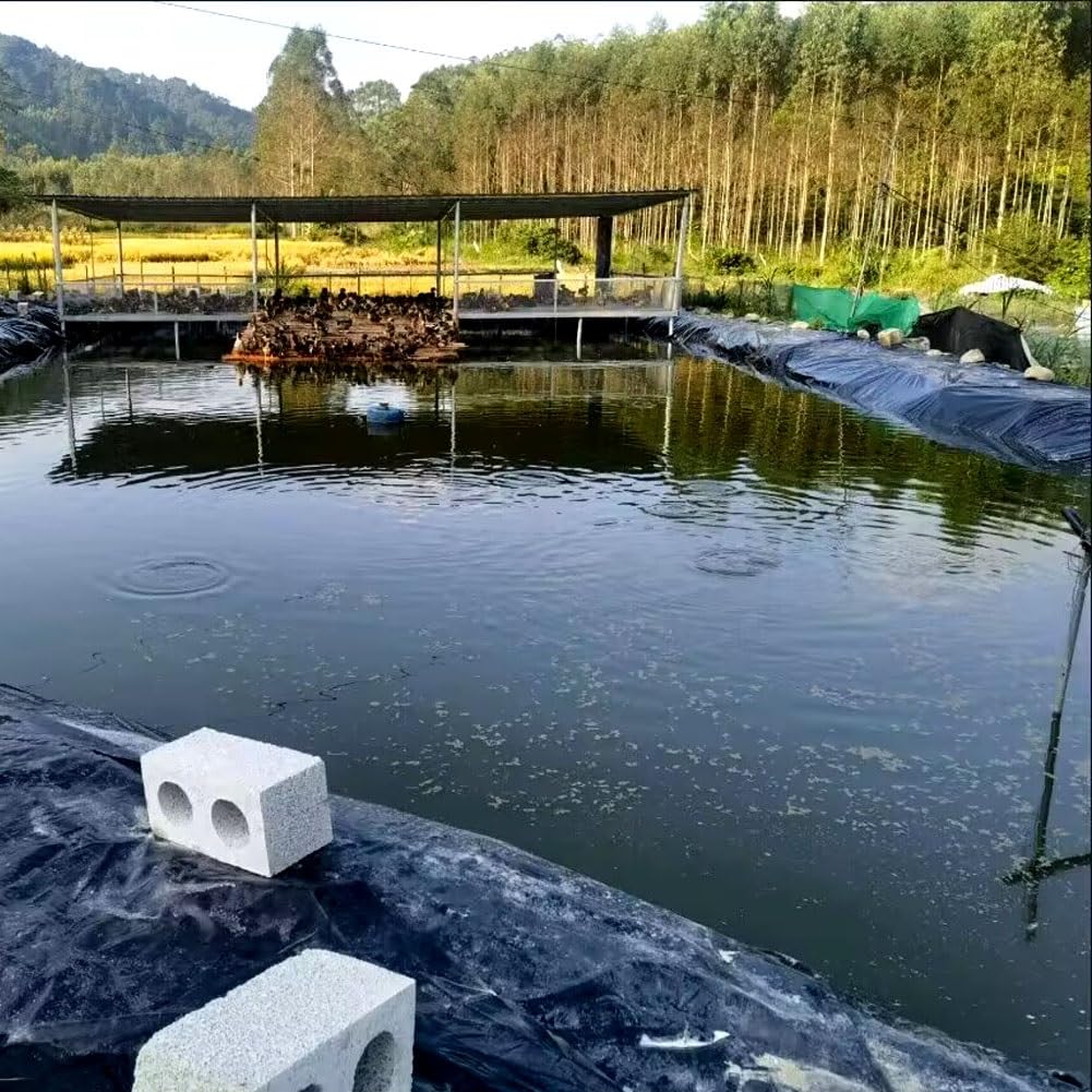 Telo per laghetto da Esterno 3x10 m, Colore Nero, Spessore Elevato, Adatto per Giardini Acquatici, laghetti e paesaggistica da Giardino.