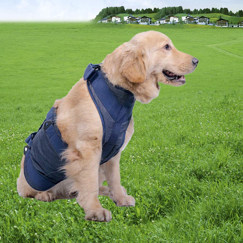 Arnés para cachorros con chaleco acolchado para perros mayores, fácil control, transpirable, arnés de malla para todo tipo de clima, para perros grandes