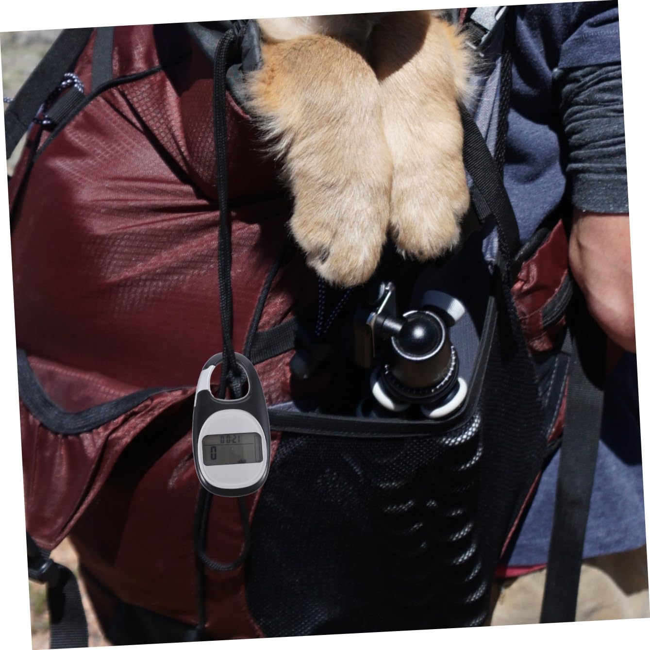 YARNOW 2pièces Compteur De Professionnel Portable Podomètre Pratique pour Activités De Plein Air Calories Distance Accessoire De Voyage Multifonctionnel