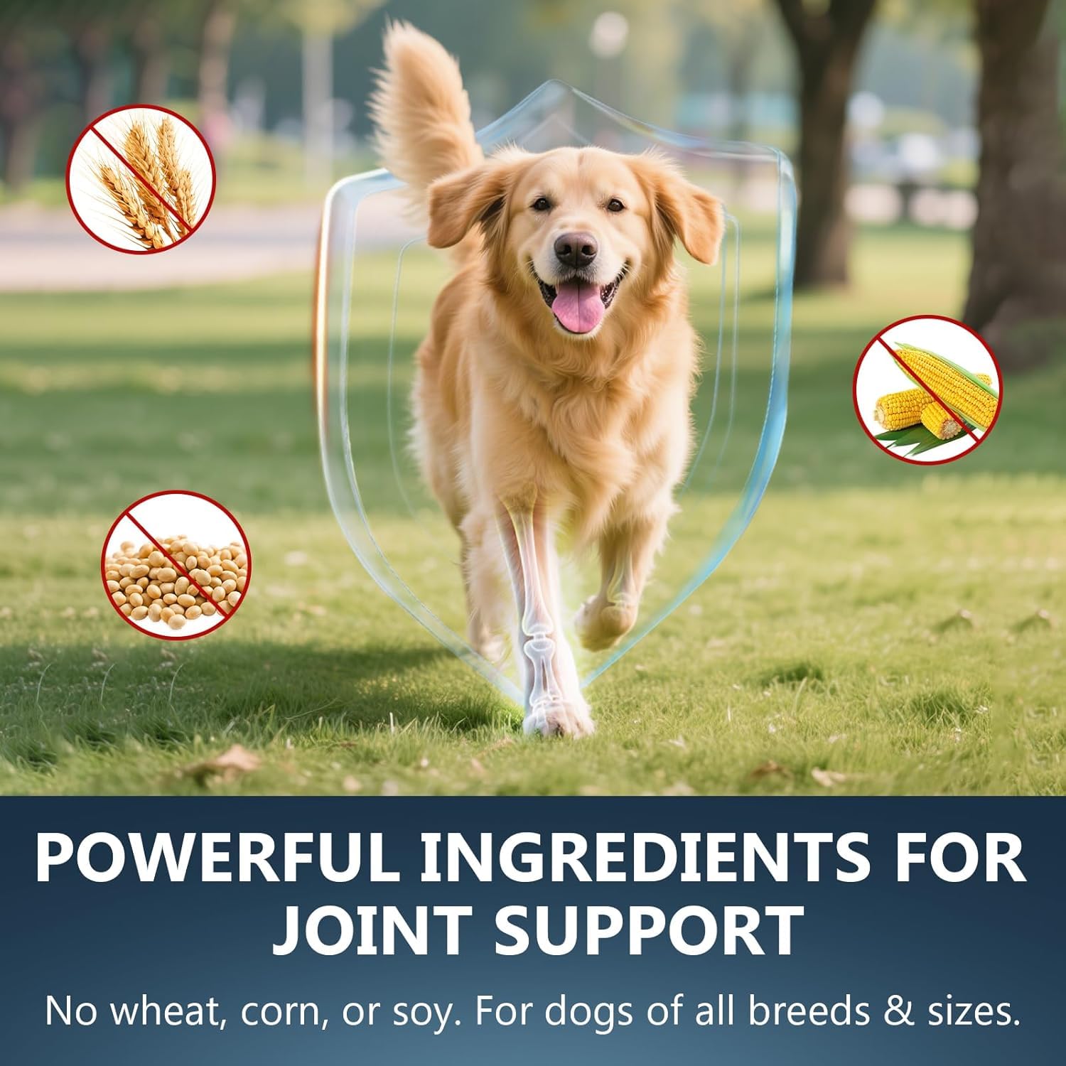 Glucosamine for Dogs - 150 Soft Chews, Hip & Joint Supplement with MSM, Chondroitin, Turmeric – Joint Support for Dogs Chicken Flavor – Vet Formulated – 2-Month Supply - image 4