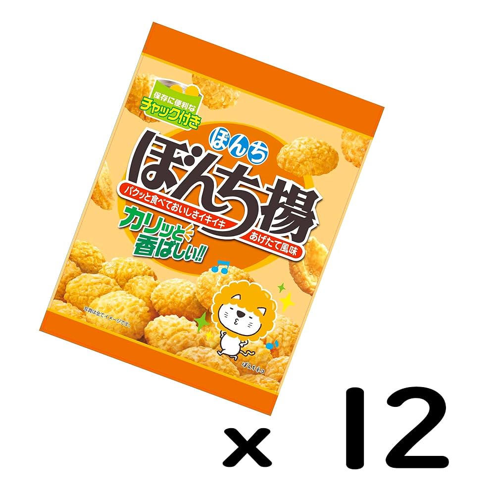 Amazon.co.jp: ぼんち ぼんち揚 チャック付 100g ×12袋 : 食品