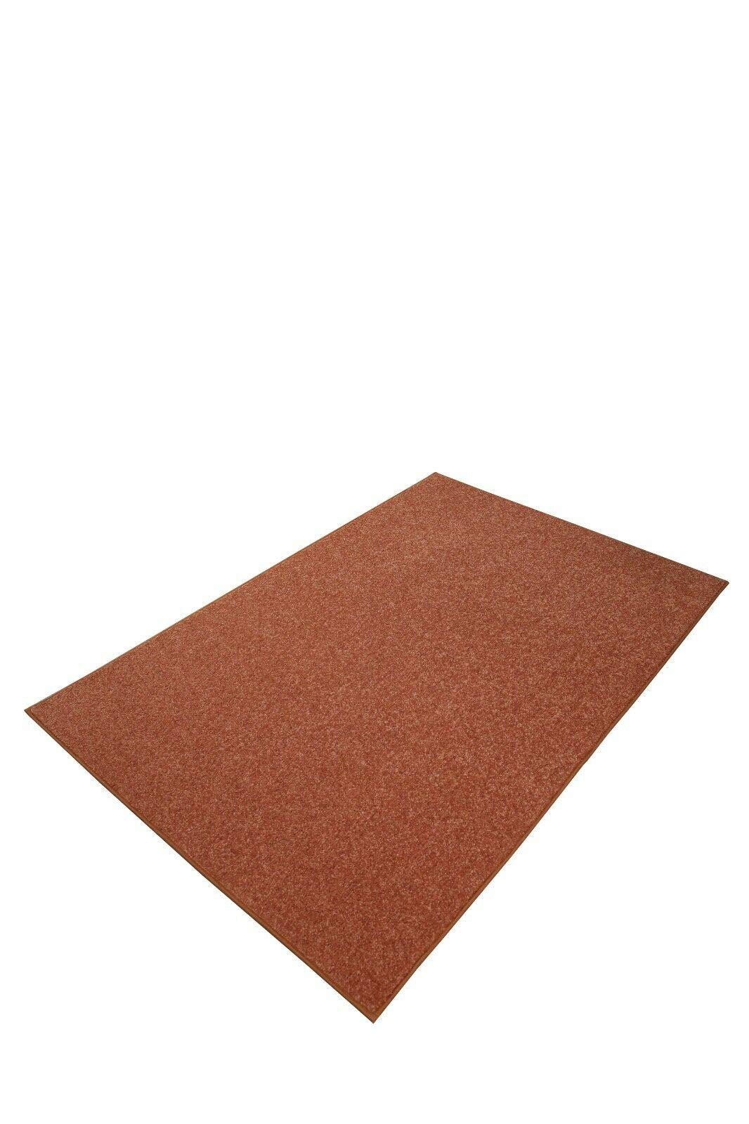 Modern Plush Solid Color Rug - Rust, 3' x 4', Pet and Kids Friendly Rug. Made in USA, Rectangle, Area Rugs Great for Kids, Pets, Event, Wedding