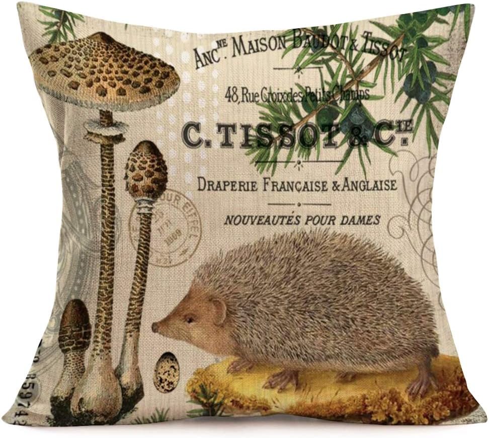 hedgehog pillow case