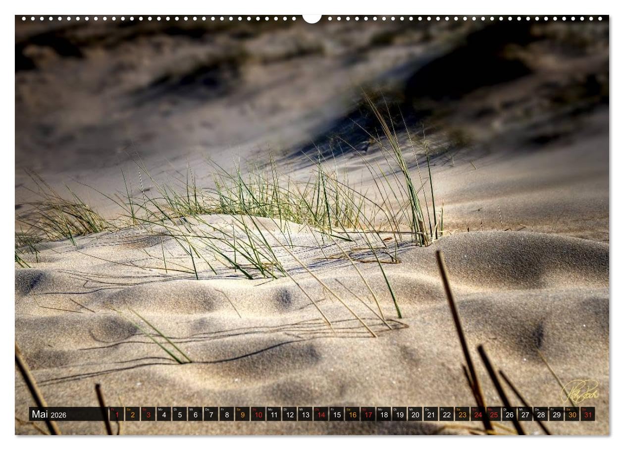 Nordsee-Dünen (Wandkalender 2026 DIN A2 quer), CALVENDO Monatskalender: Peter Roder folgen Sie dem Fotokünstler in die Dünen an der Nordseeküste (CALVENDO Natur)