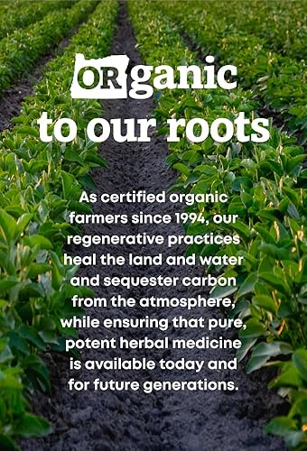 Miniatura 6 de Oregon's Wild Harvest, uva orgánica certificada de orregón, suplemento de berberina, 1140 mg, 90 unidades