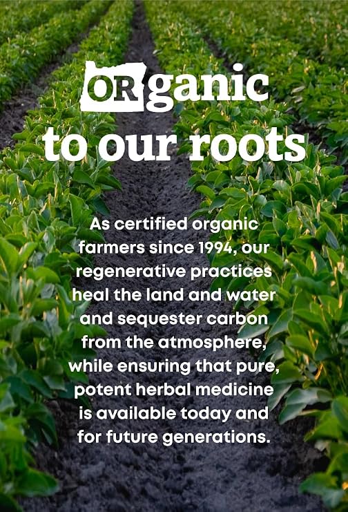 Oregon's Wild Harvest Cloves Organic Traditional Herbal Supplement Non-GMO pullulan (Plant sourced) Vegan Capsules 90 Count