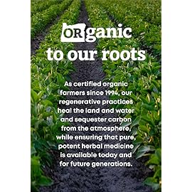 Oregon\'s Wild Harvest Kelp Herbal Supplement Vegan Capsules Natural Source of Iodine - USDA Certified Organic - 180 Count