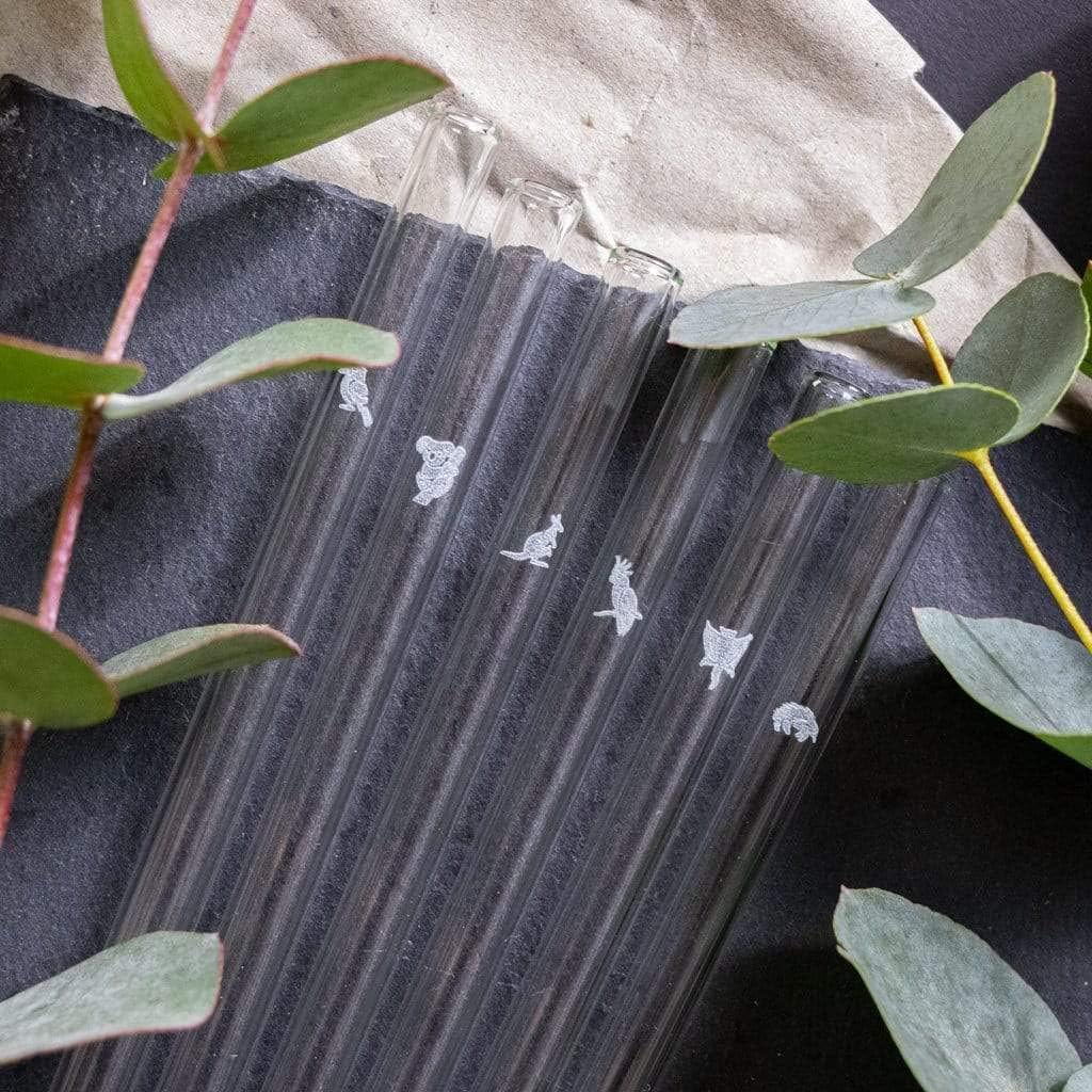 HALM Glass Straws - Australian Animal Edition - 6 Reusable Drinking Straws With Engraved Icons 20cm (8 in) - koala, kangaroo and baby, kookaburra, echidna, gliding possum and cockatoo