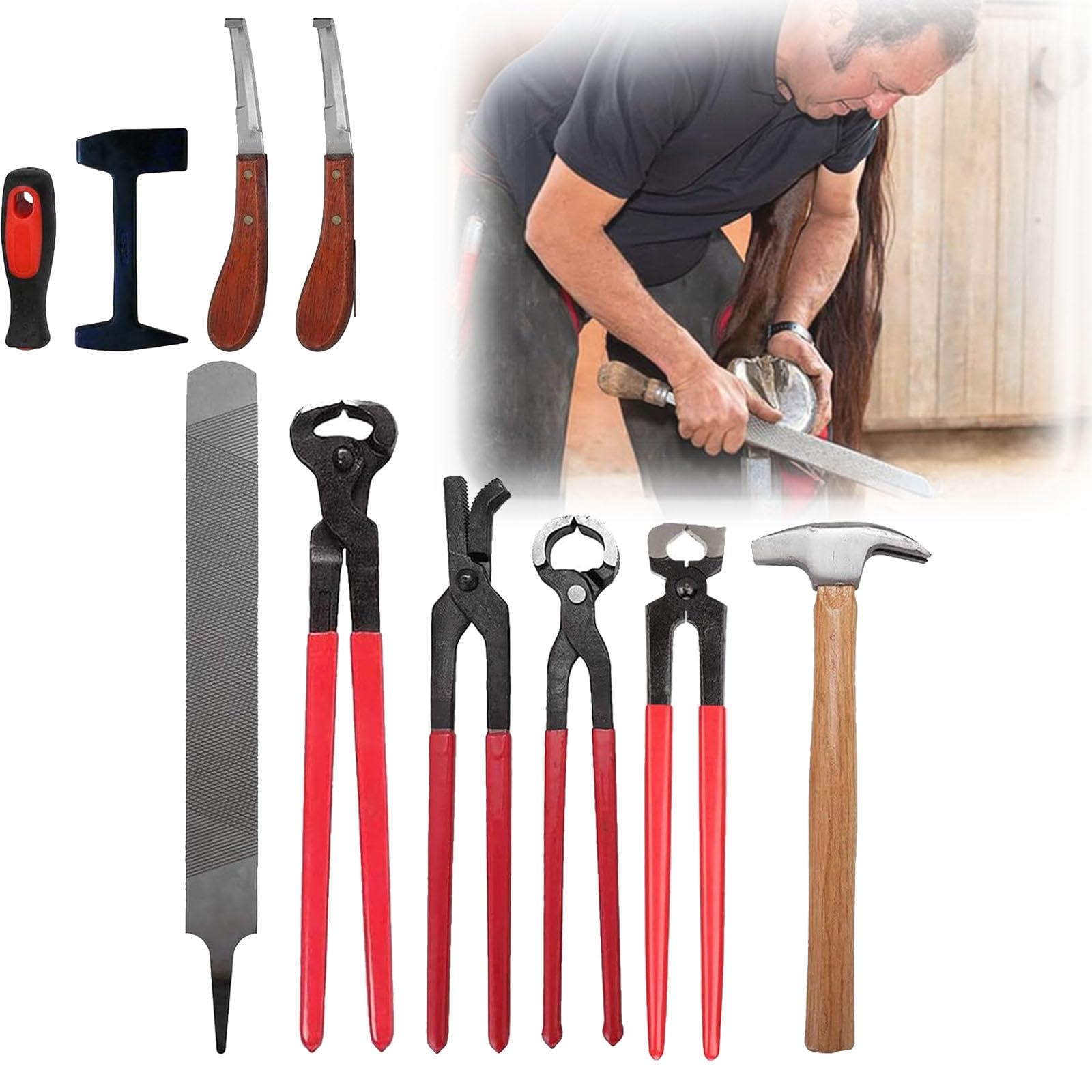 MTTXY Kit de Herramientas para Recortar Pezuñas de Herrador de Caballos, 9 Piezas, Cortadora de Pezuñas, Alicates de Herradura, Herramientas para Recortar Pezuñas, Equipo para Caballos para Ganado