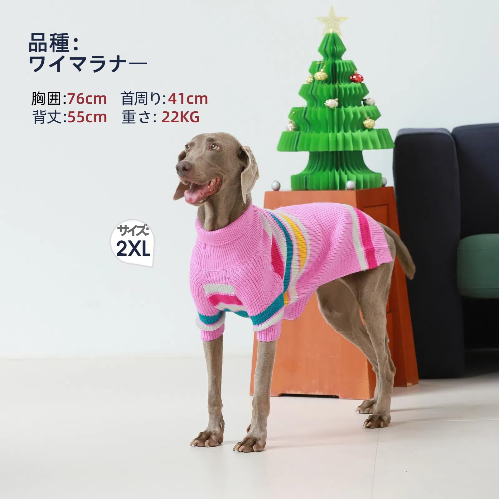 Labrador excellent mode コート Labrador excellent mode コート