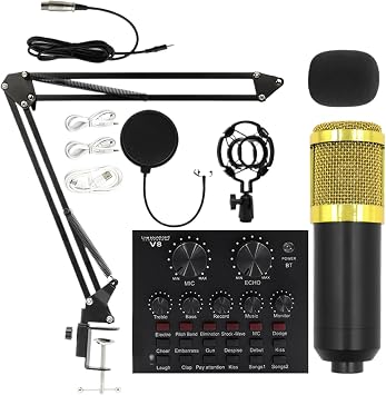 Recording Microphone Set - Professional Studio Microphone, Live Streaming Gear, Podcast Kit, Audio Recording Device | Professional Microphone Set for Anchors, Singers, Podcasters, Home Studio