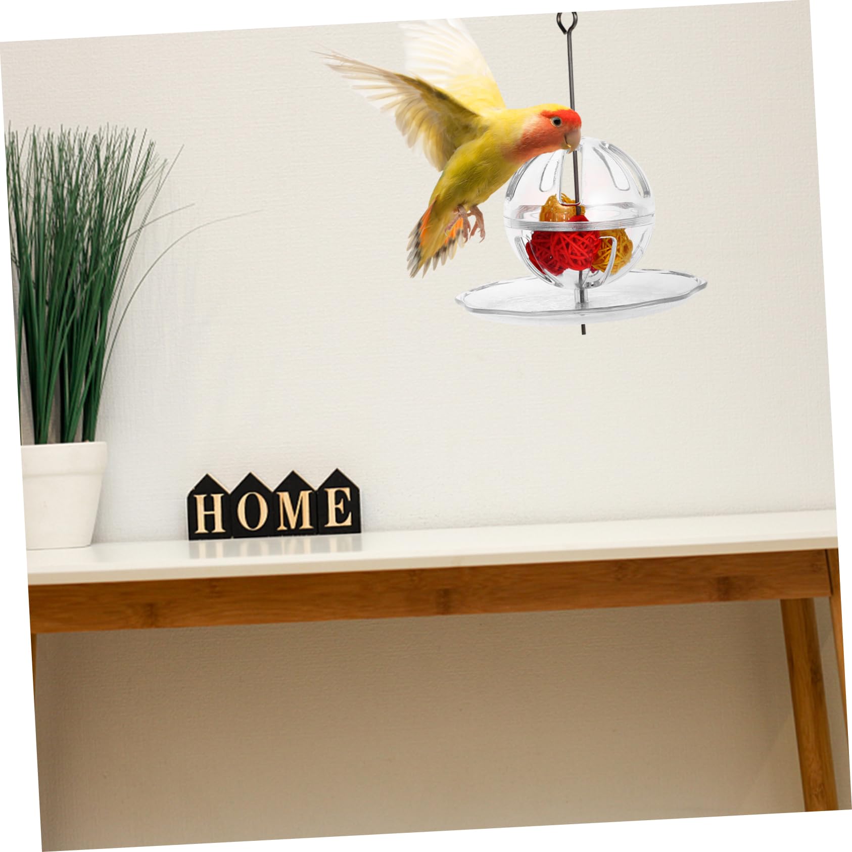 YARNOW 2 Pièces Boule de Recherche de Perroquet Jouets éducatifs mangeoire pour Cage à Oiseaux Jouets de Fruits Jouet écureuil Jouet à mâcher pour Oiseau mangeoire Suspendue pour Oiseaux