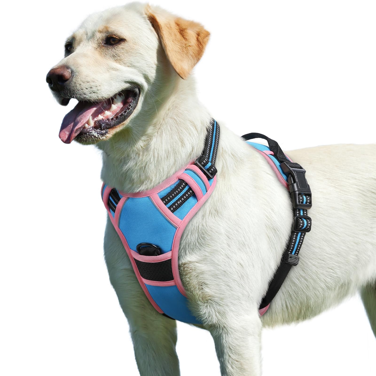 Eagloo Dog Harness for Large Dogs, No Pull Pet Vest with 2 Leash Clips