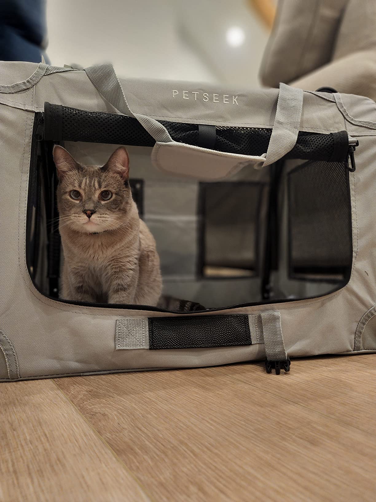 13/mo Finance Petseek Extra Large Cat Carrier Soft Sided Folding