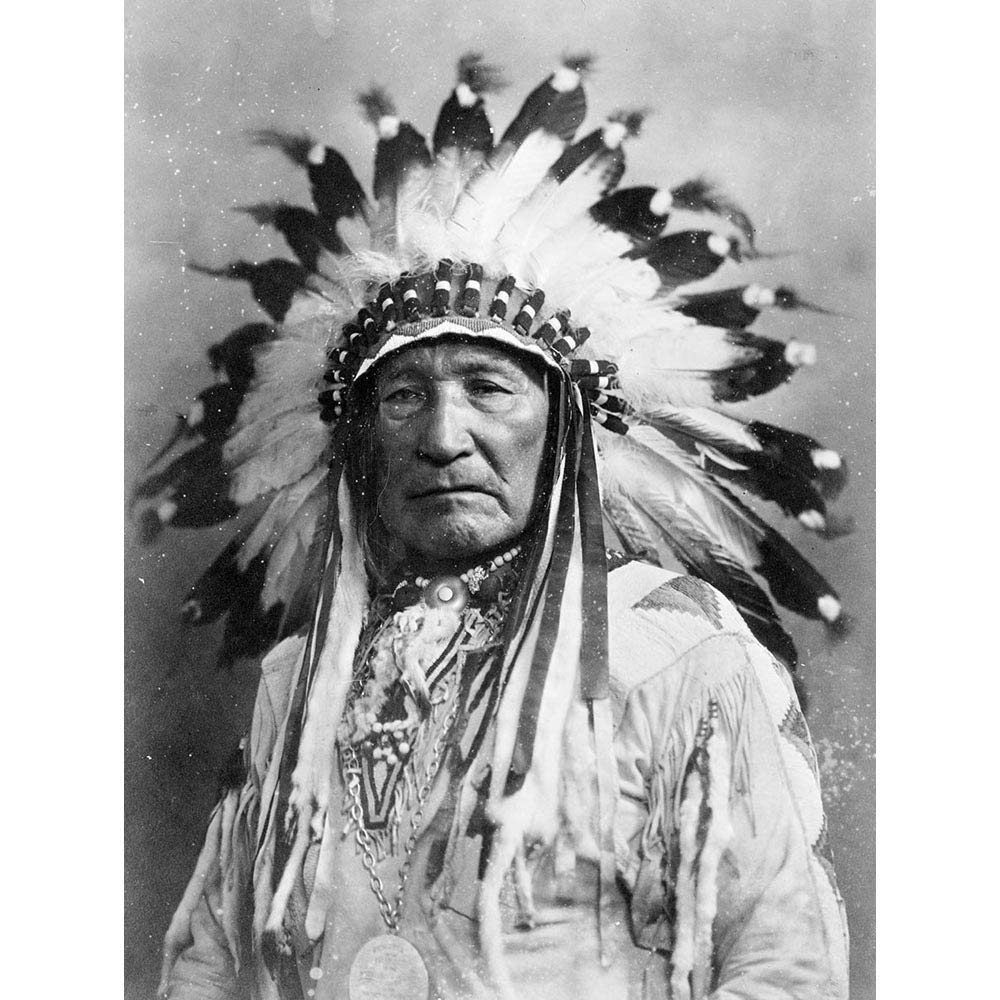 Wee Blue Coo Vintage Native American Dian Mountain Chief Art Print Poster Wall Decor 12X16 Inch