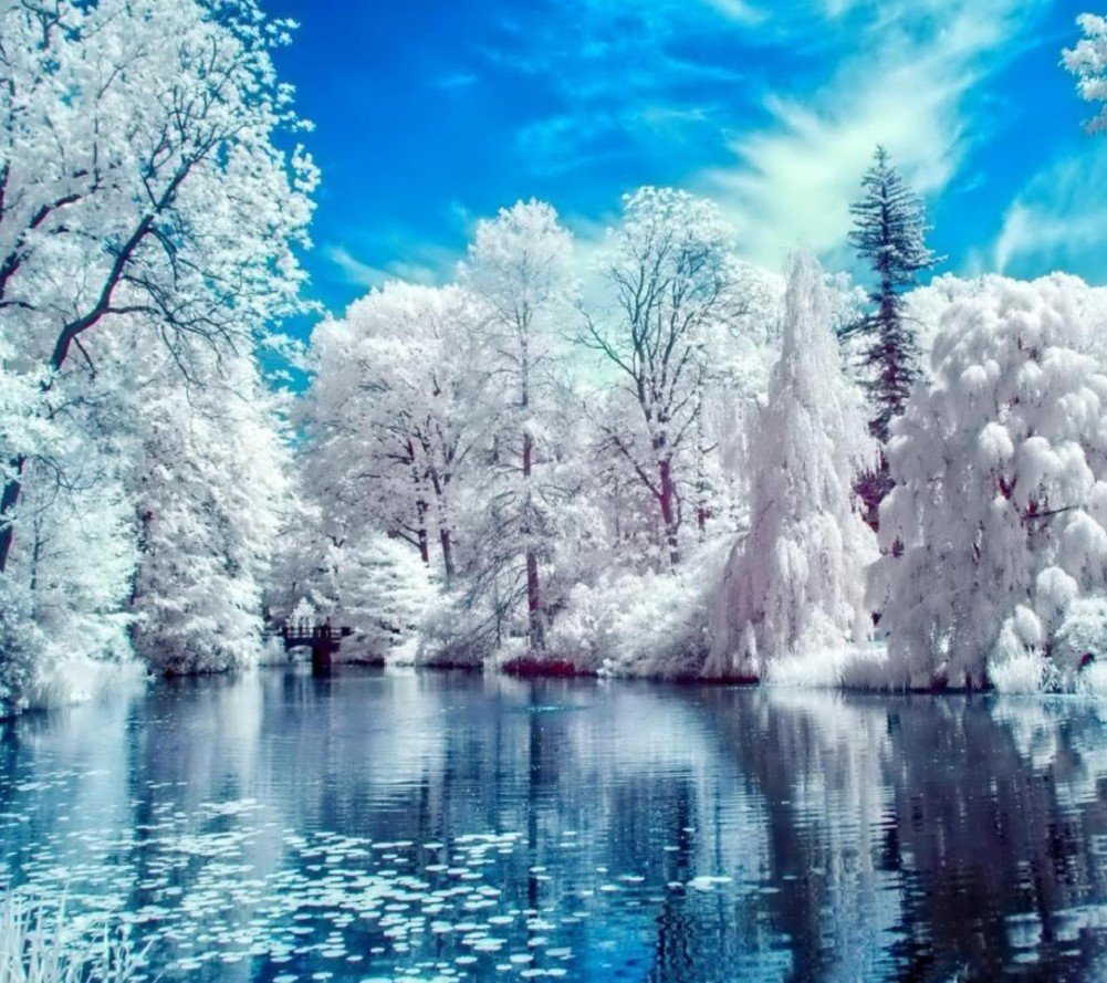 Wowdecor White Paint By Numbers Kits, Number Painting - Winter Snow Lake Trees Landscape 16X20 Inch (Frameless)
