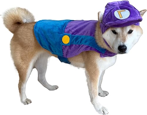 Miniatura 3 de ComfyCamper Disfraz de perro con sombrero y tirantes  Disfraz de Halloween, talla XL, mediano, pequeño, estrella de laboratorio, cosplay, Halloween,