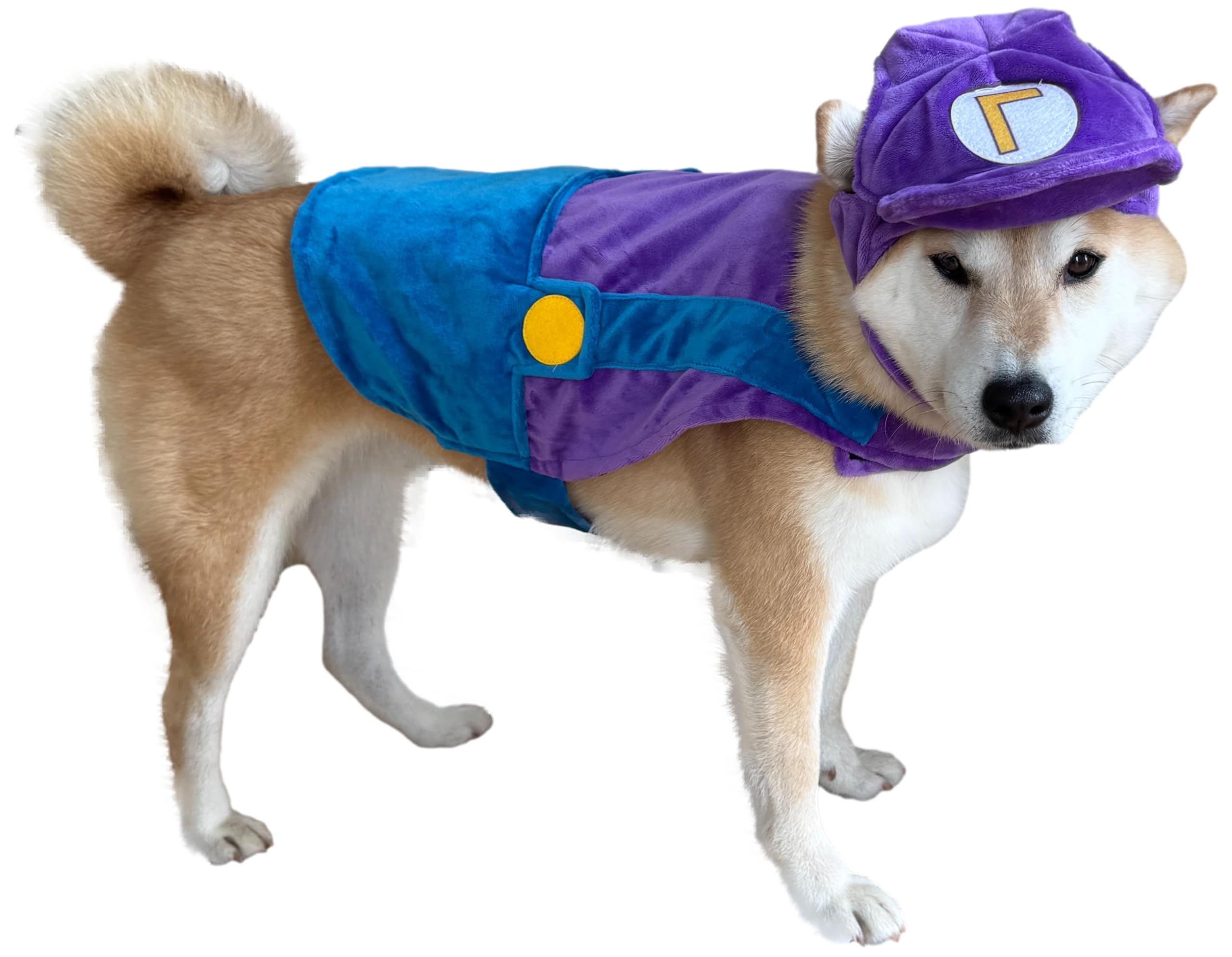 Costumes Halloween pour chiens de toutes tailles pour créer des souvenirs uniques