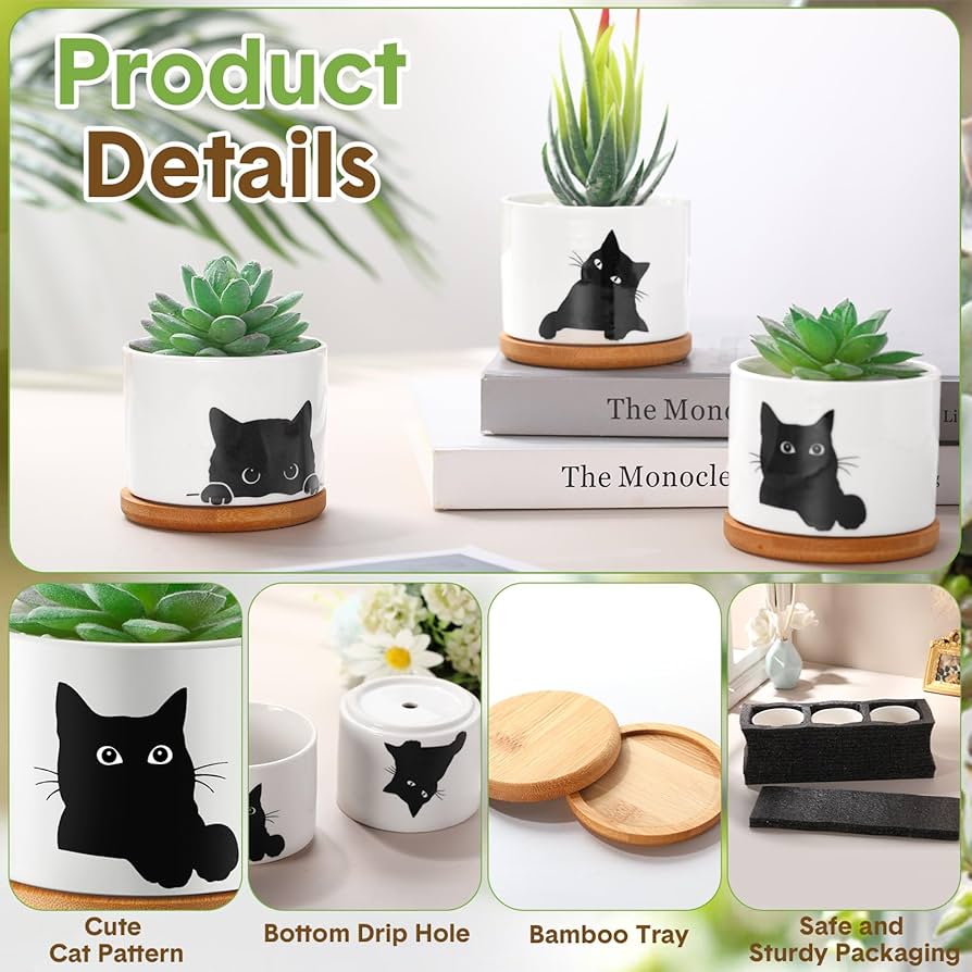 鉢花 Tomotomo Amazon.com: Honeydak Funny Succulent Black Cat Plant Pots