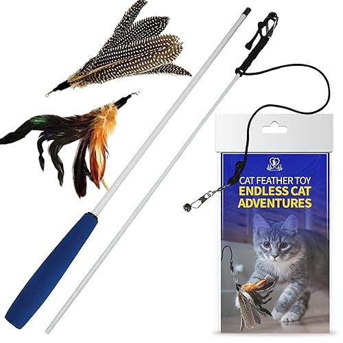 Pet Fit For Life Cat Feather Wand Toys – Interactive