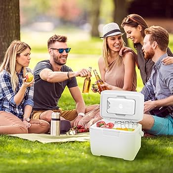 GkgWuxf Insulated Cooler - Refrigeration Box With 6 Ice Packs - 6l