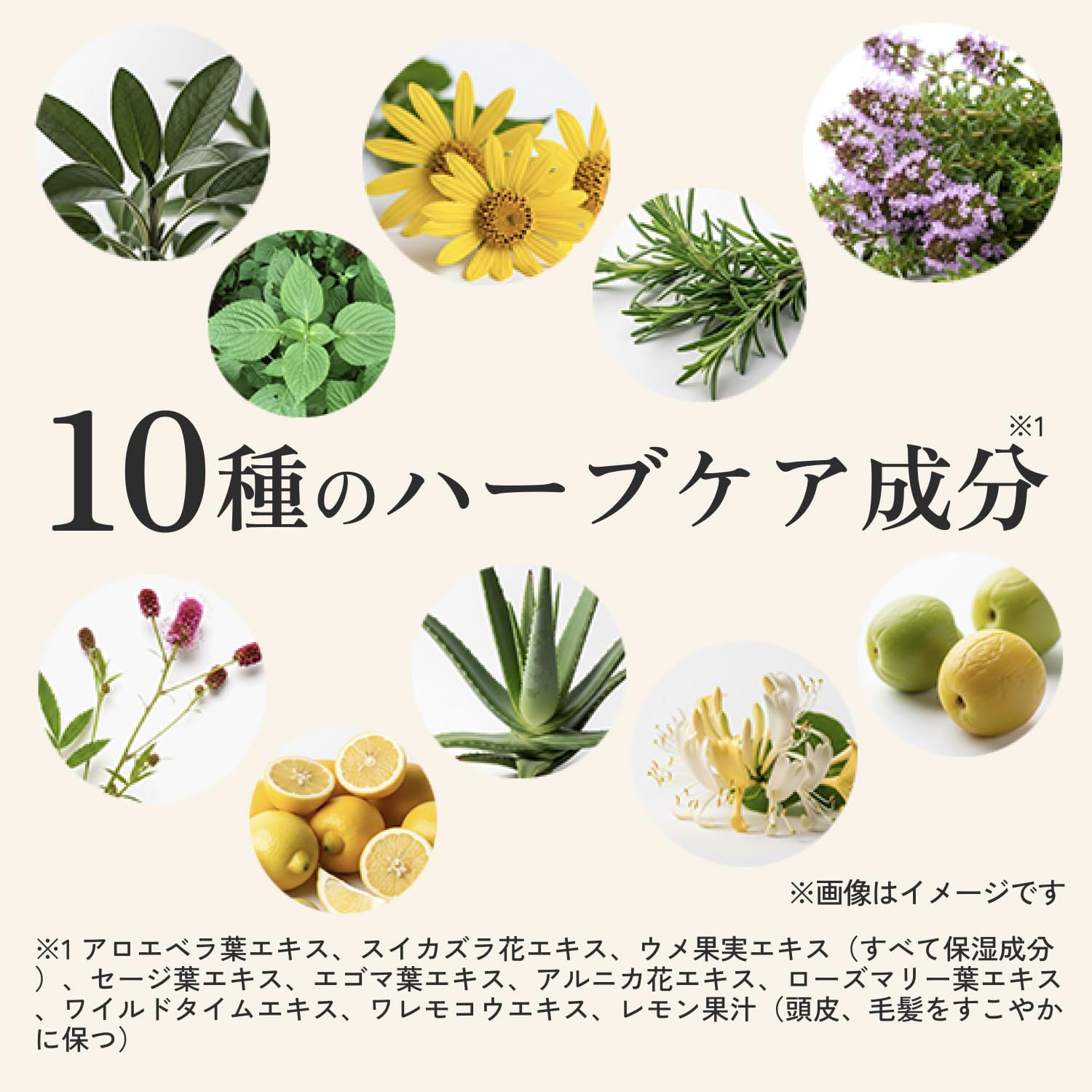 Amazon | haru（ハル）スカルプクリアバランス 300ml（約2ヶ月分） 2個